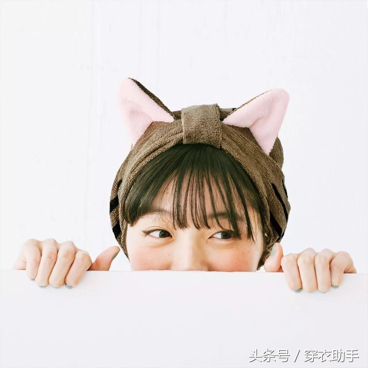 提升猫咪智商的玩具,提高猫咪的生活品质