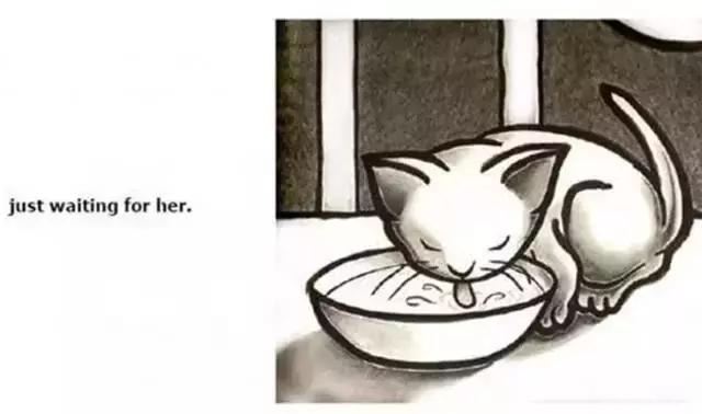 与中秋节有关的绘本推荐,中秋绘本哪本好