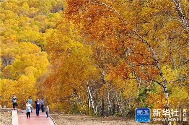 大西北旅游匈奴,一起游巴朗山