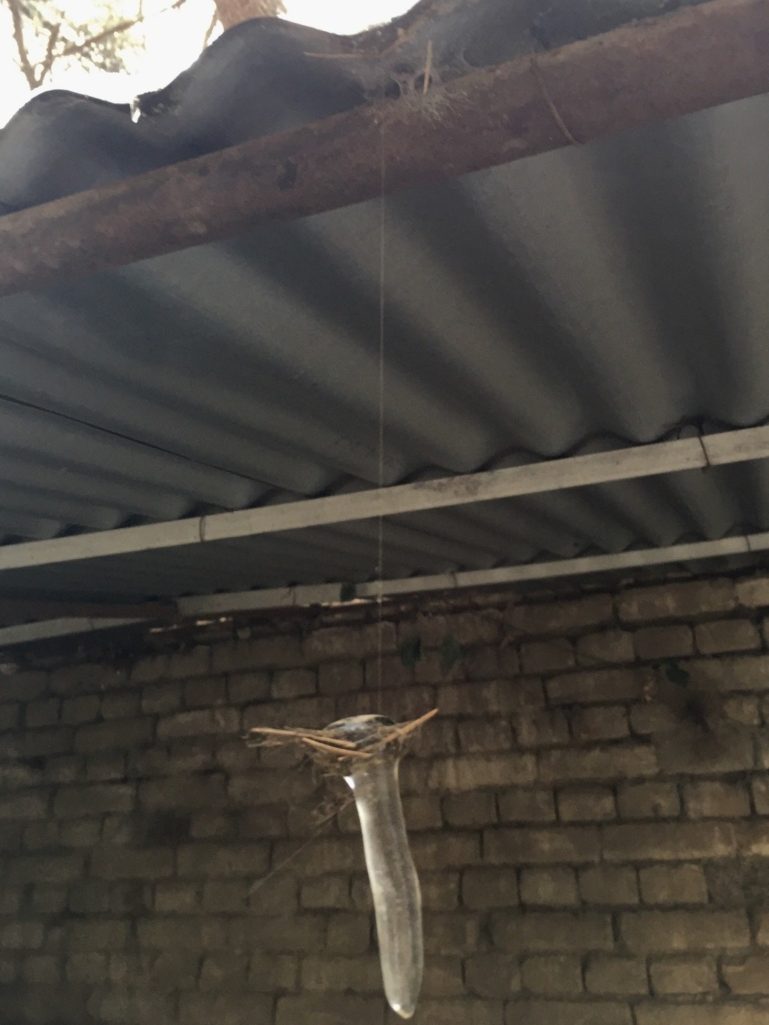 大自然神奇的自然现象,大自然中有哪些神奇的现象