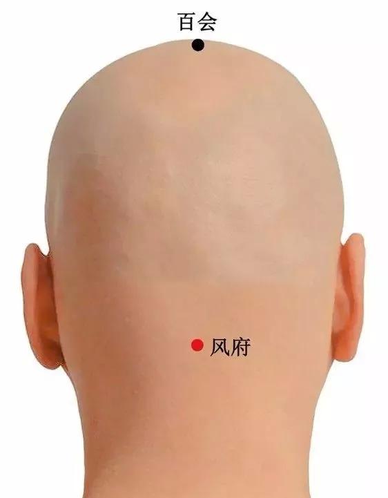 20个对身体有效黄金穴位,人体十大养生穴位
