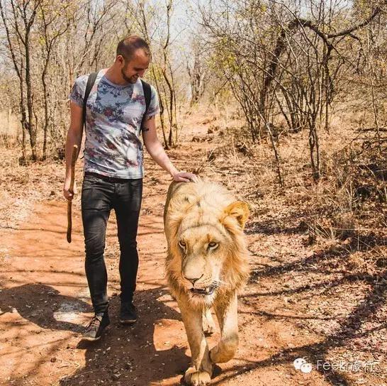 这个与马尔代夫隔海相望的火山岛国，免签人少，还可以玩遍海陆空