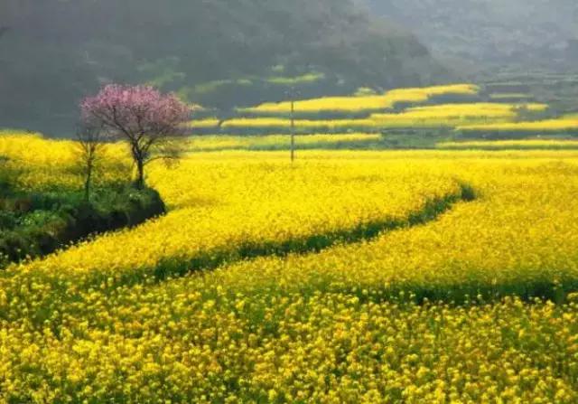 保定你竟然这么花!我真是看错你了!