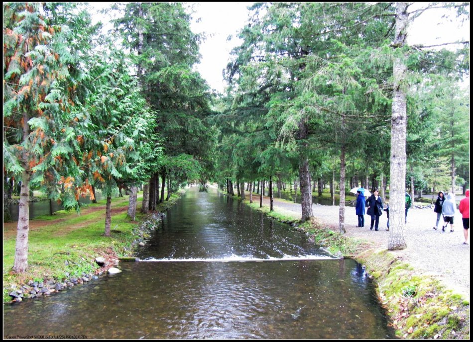 逆流而上,加拿大威化溪三文鱼洄游之旅