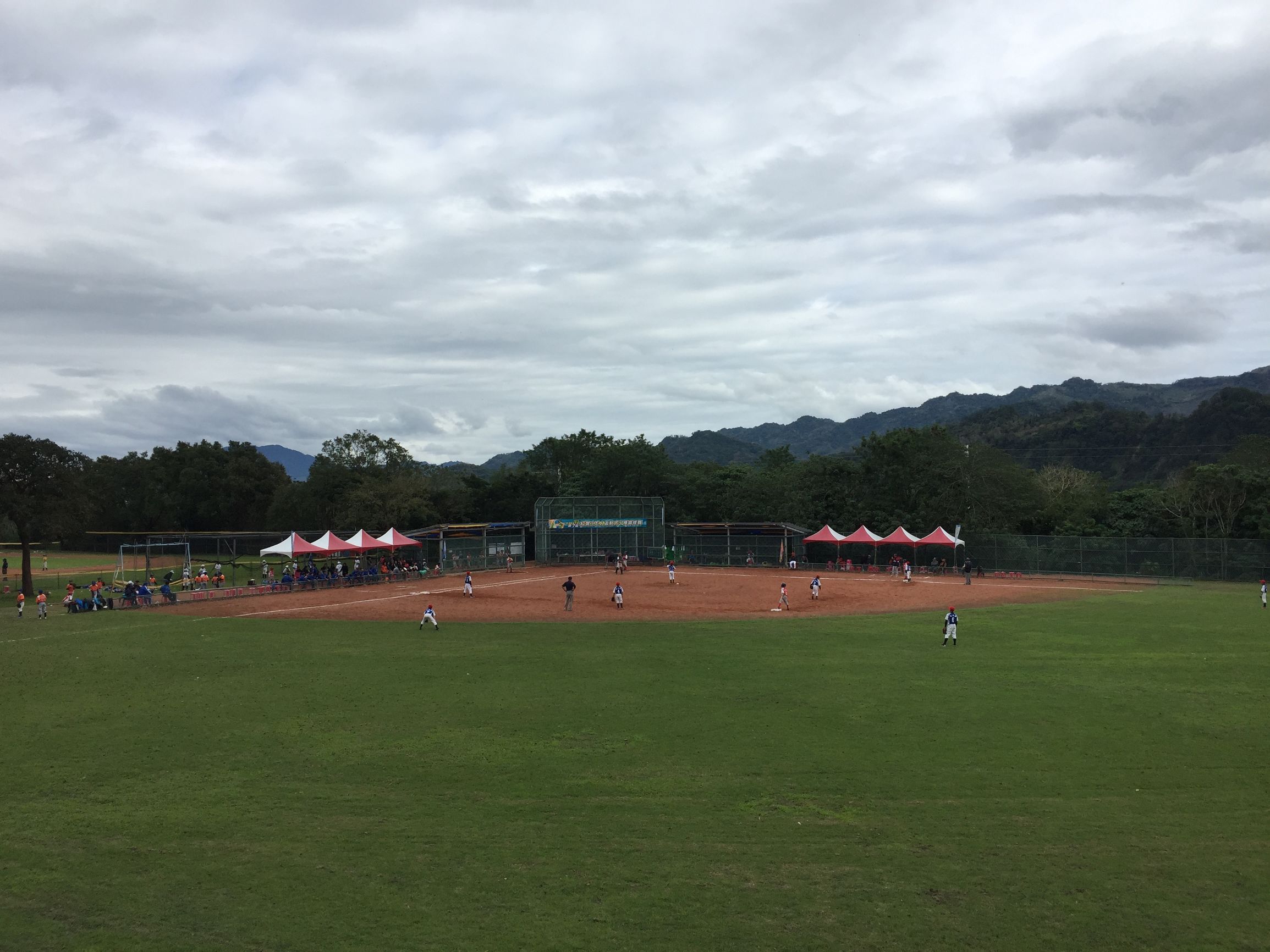 共享单车人人都能骑,共享单车人人都可以骑