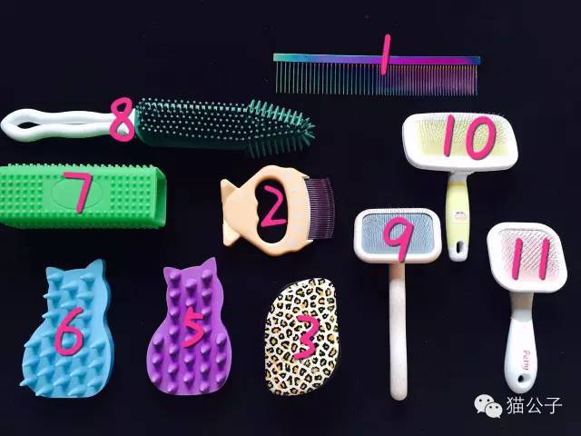 猫毛梳哪种好用,猫毛梳用哪种