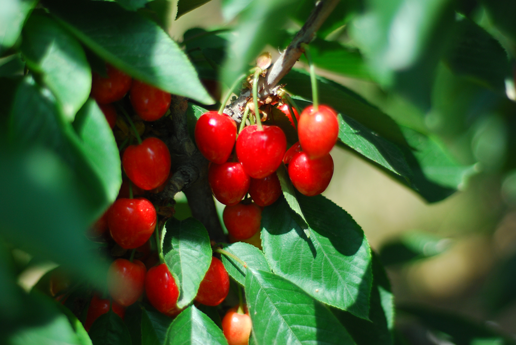 聚焦陕西蓝田泄湖镇,蓝田县洩湖镇发展规划