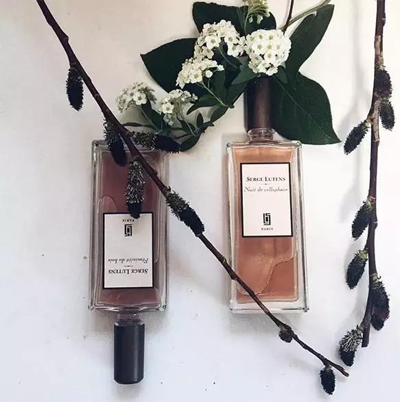 dior哪几款香水值得收藏,香奈儿和dior香水哪个档次高