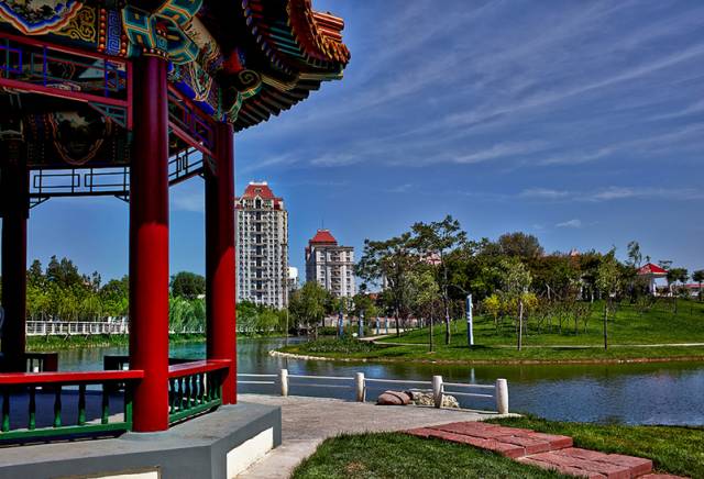 看樱花何必去远方,天津水上公园神户园樱花