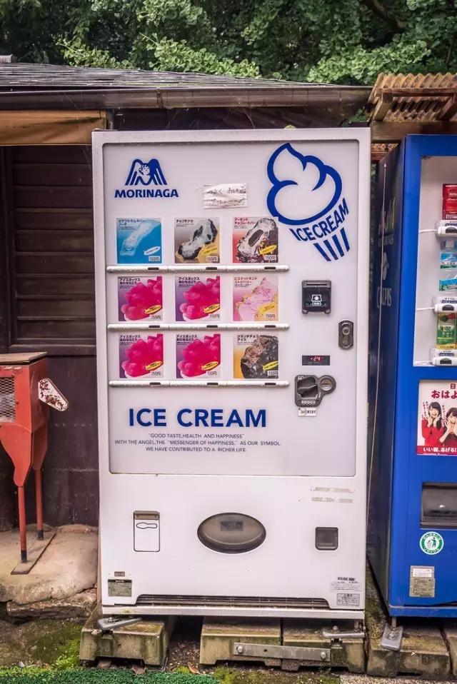 无所不能的料理机,无所不能的智能机器人