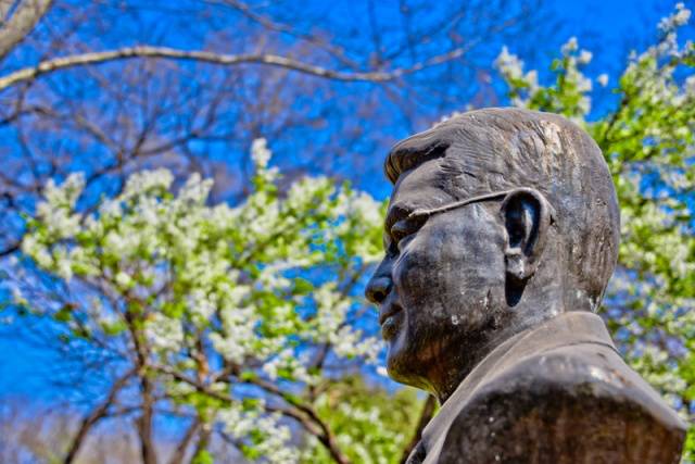 趣谈山大趵突泉校区，春风十里不如你