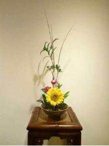 窑埠TOWN特色壮乡节，歌曲舞蹈演绎大荟萃