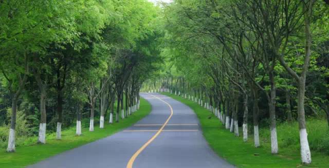天目湖涵田半岛酒店独栋别墅,明星湖旅游度假区住宿