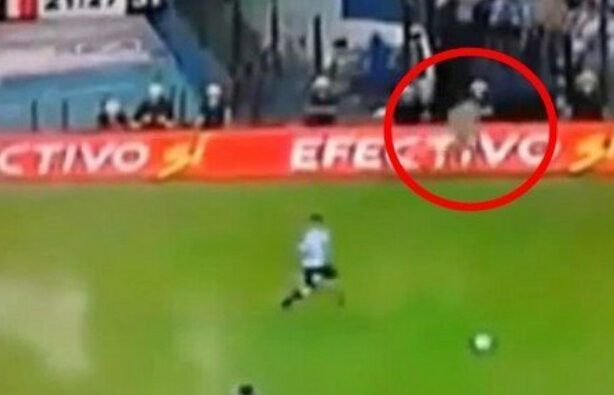 阴阳眼与鬼眼,阴阳眼见鬼