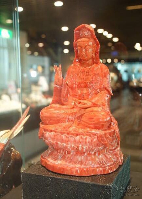 红珊瑚介绍,真正的红珊瑚是什么样的