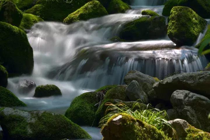 秦岭深处,秦岭深处有人家