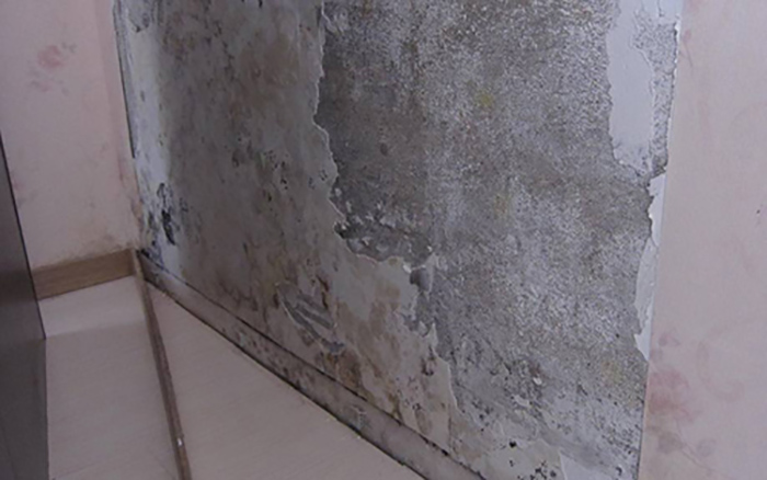 顶楼房间墙壁浸水发霉,楼房墙壁发霉怎么处理