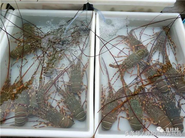 刷我滴卡泰国原版,呼和浩特直飞普吉岛