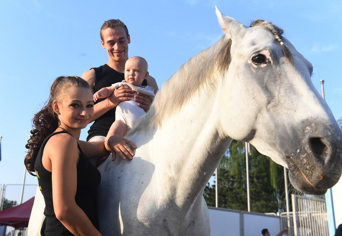 马秀扮演者,史诗马秀特洛伊演员