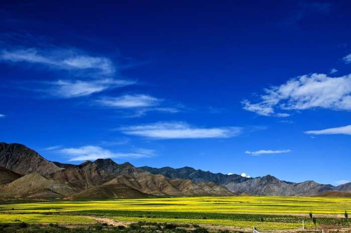 一封来自*藏西**的辞职信