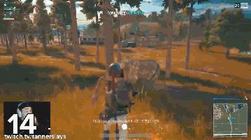 王思聪王者荣耀腾讯,胡歌林更新沉迷吃鸡