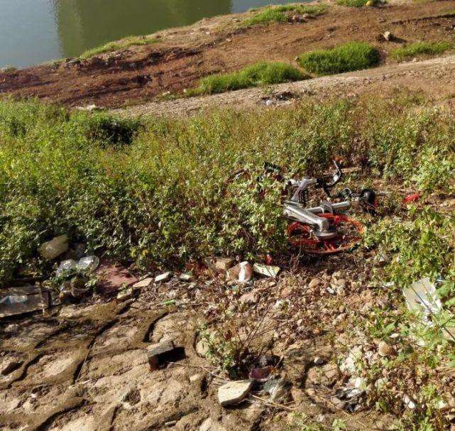 南宁人素质,广西南宁人素质怎么样