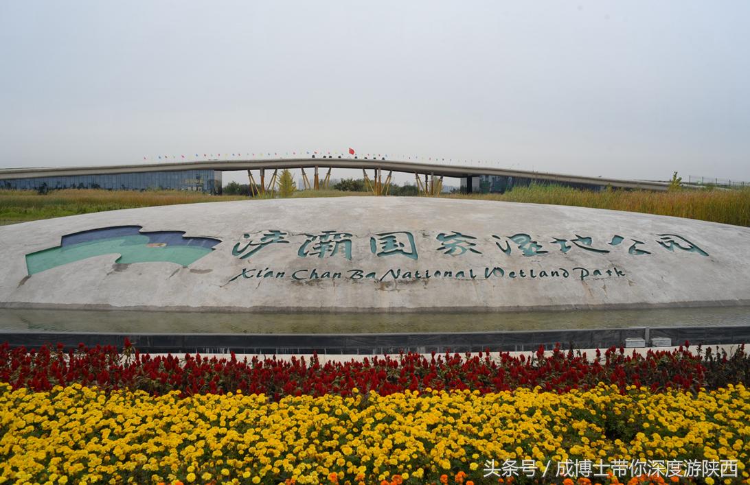 西安今年开放的免费旅游景区,西安茯茶小镇旅游景区攻略