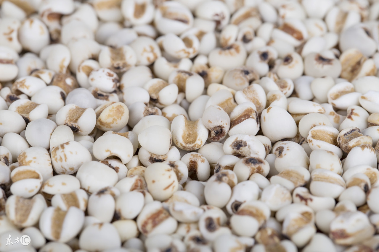 灏忓皬钖忕背鍘熷垱,灏忓皬钖忕背