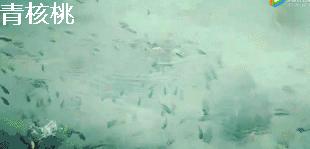 呼和浩特飞普吉岛,刷我滴卡泰国原版