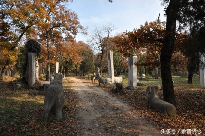 孔子的后代还可以葬入孔林吗,孔子现在的后人能葬孔林吗