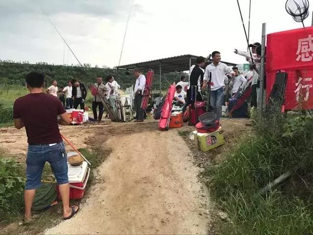 汝南钓鱼大赛,行营钓鱼比赛现场直播