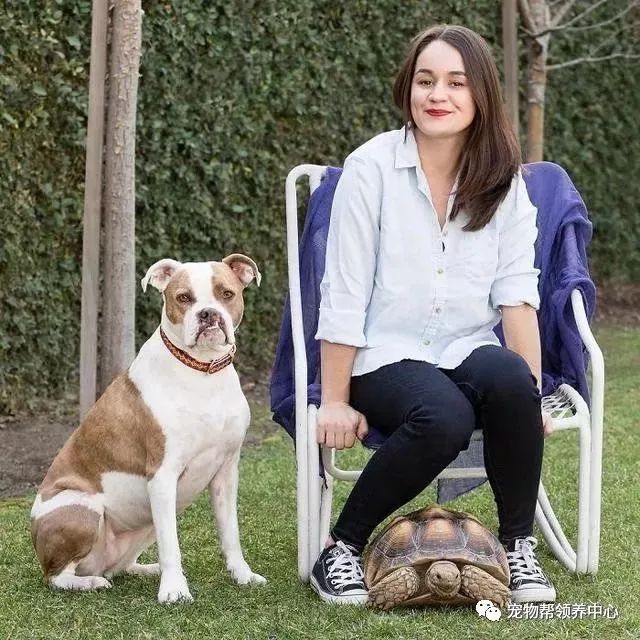 腭裂的狗,腭裂犬