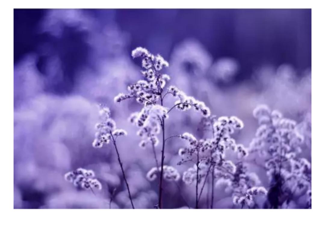 以心换心将心比心莫争长短,人将心比心以心换心文案