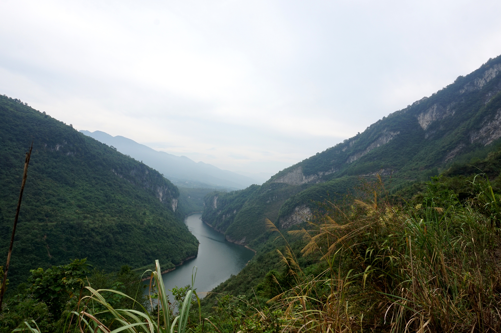 深山蜂谷悬崖土蜂蜜好吗,张家界知蜂谷养蜂