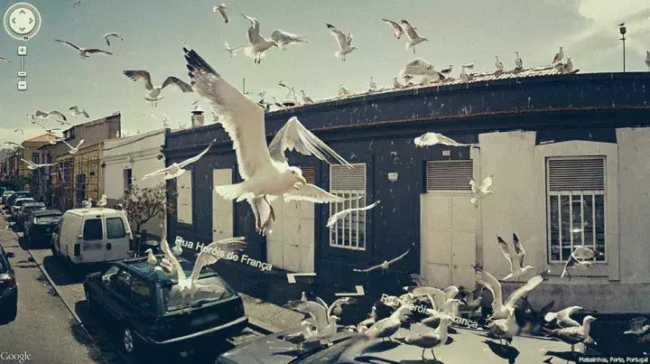 未来三年谷歌街景,谷歌街景制作全过程