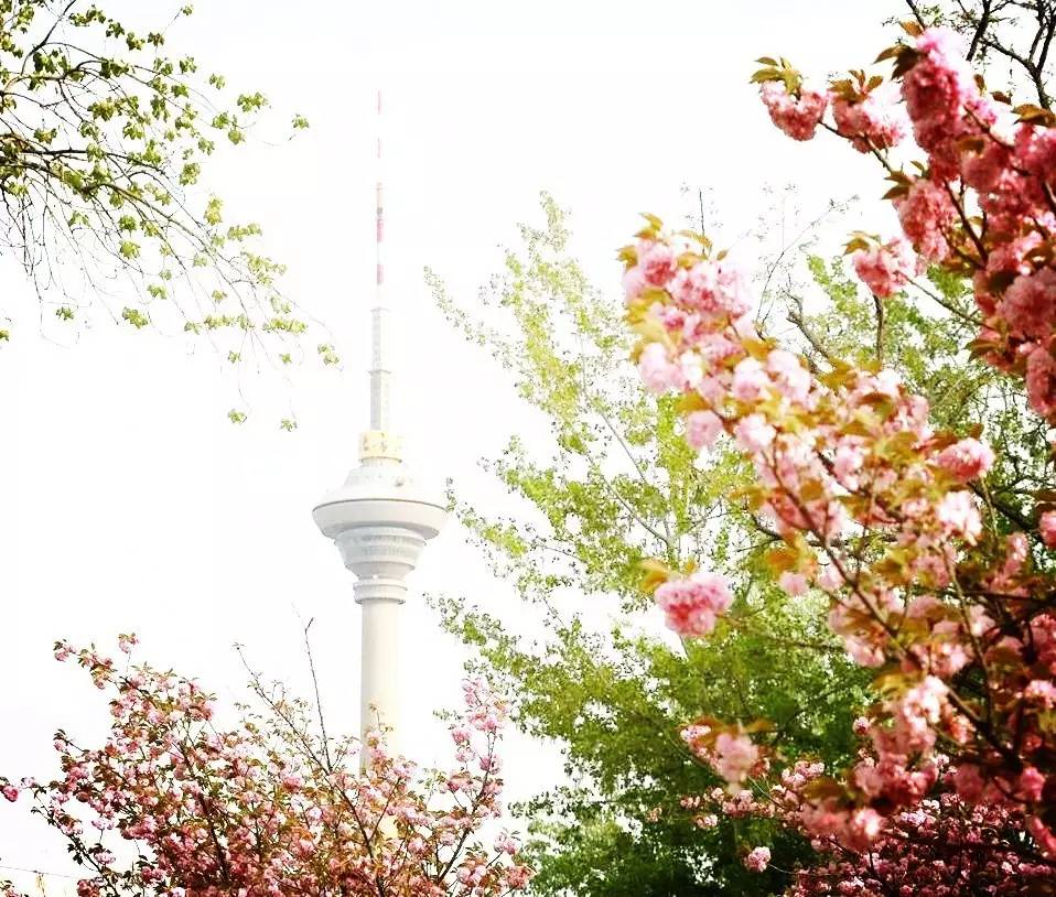 一大波的好消息袭来,一大波的好消息蜂拥而至