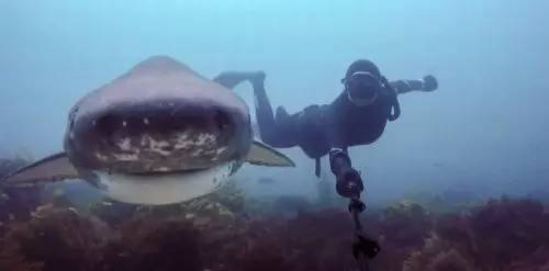 好不容易抢到票纠结退不退,抢不到迪士尼门票怎么办