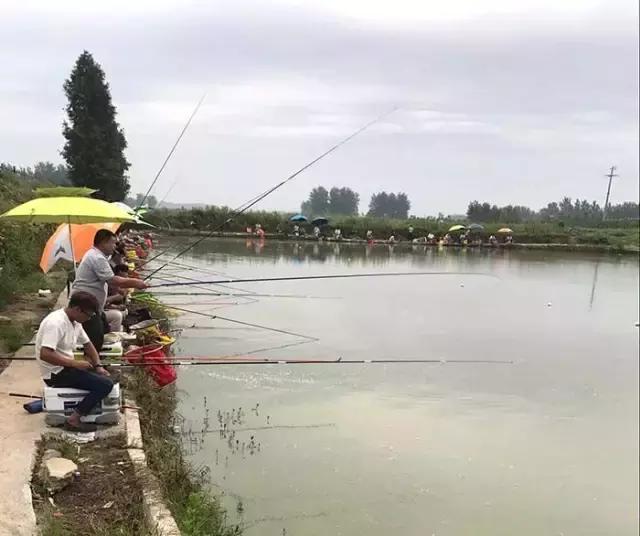 汝南钓鱼大赛,行营钓鱼比赛现场直播