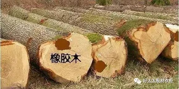 橡木和橡胶木怎样辨别出来真假 (橡胶木橡木哪个好)