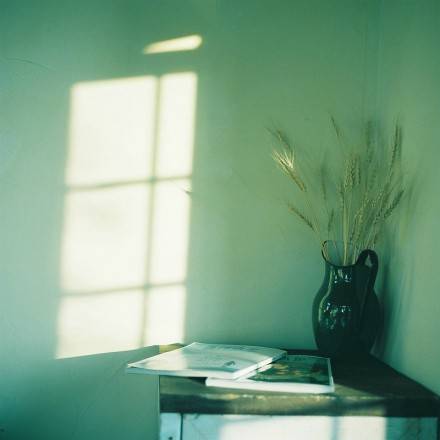 牵手一次能走到白头到老,牵手就能走到白头该多好