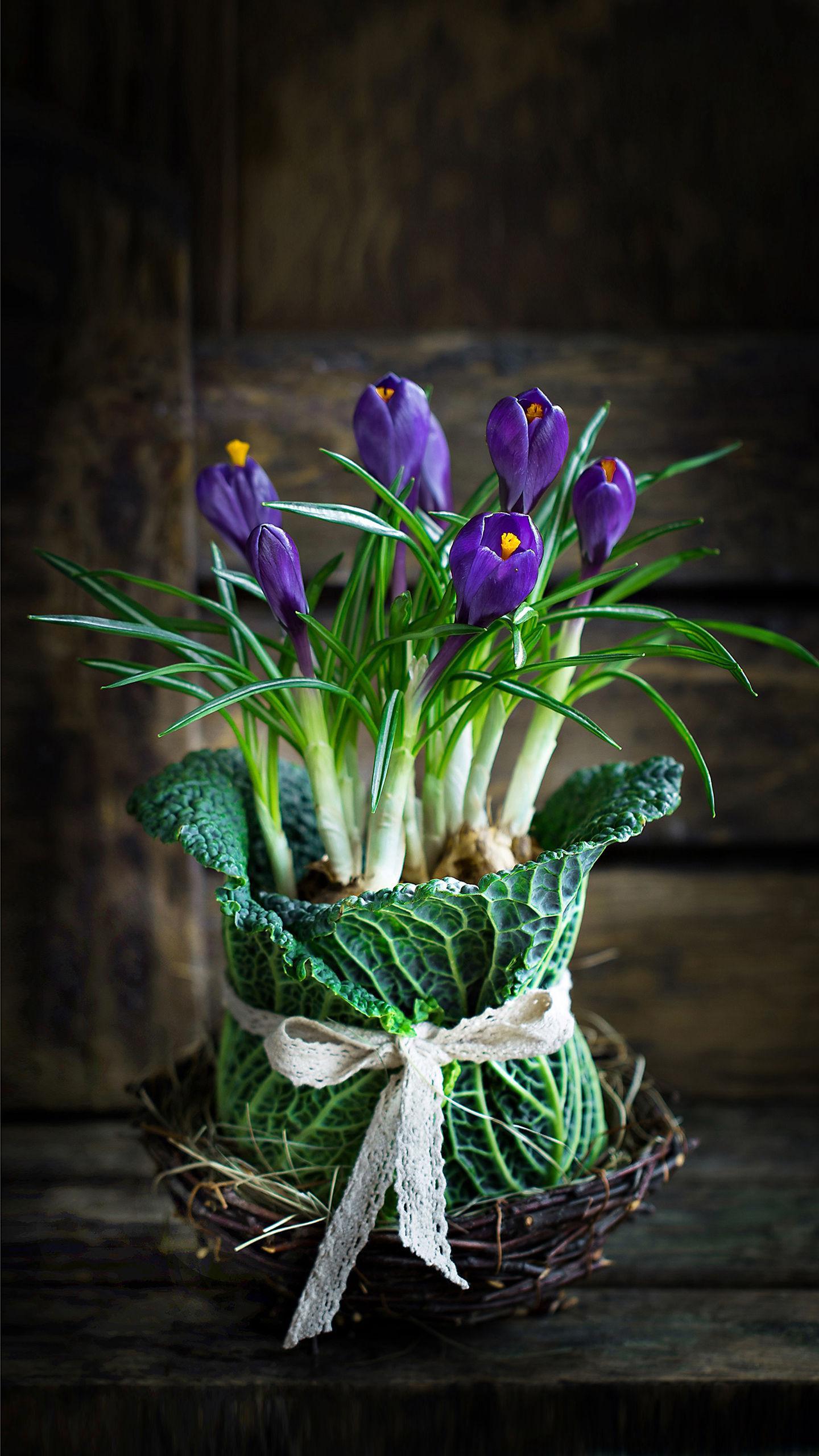 刻骨铭心的爱应该是这样的,刻骨铭心的爱总是那么撕心裂肺