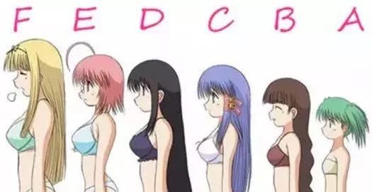 A-D*杯罩**玩个够？老司机给你带路！