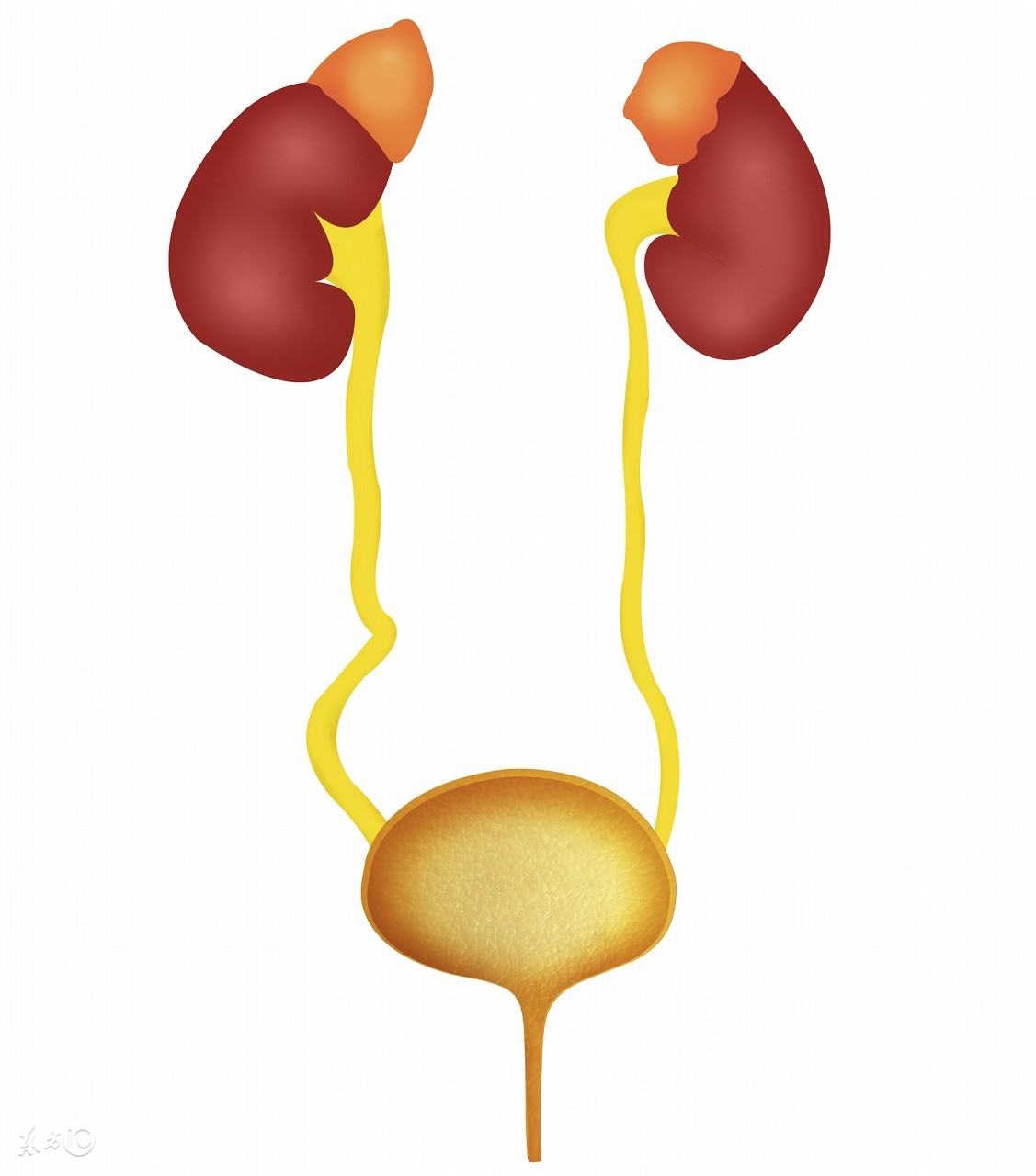 为什么长城质量那么好,长城的质量问题严重不
