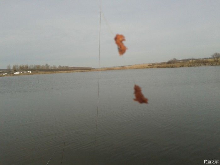 远征远征17,远征17-20