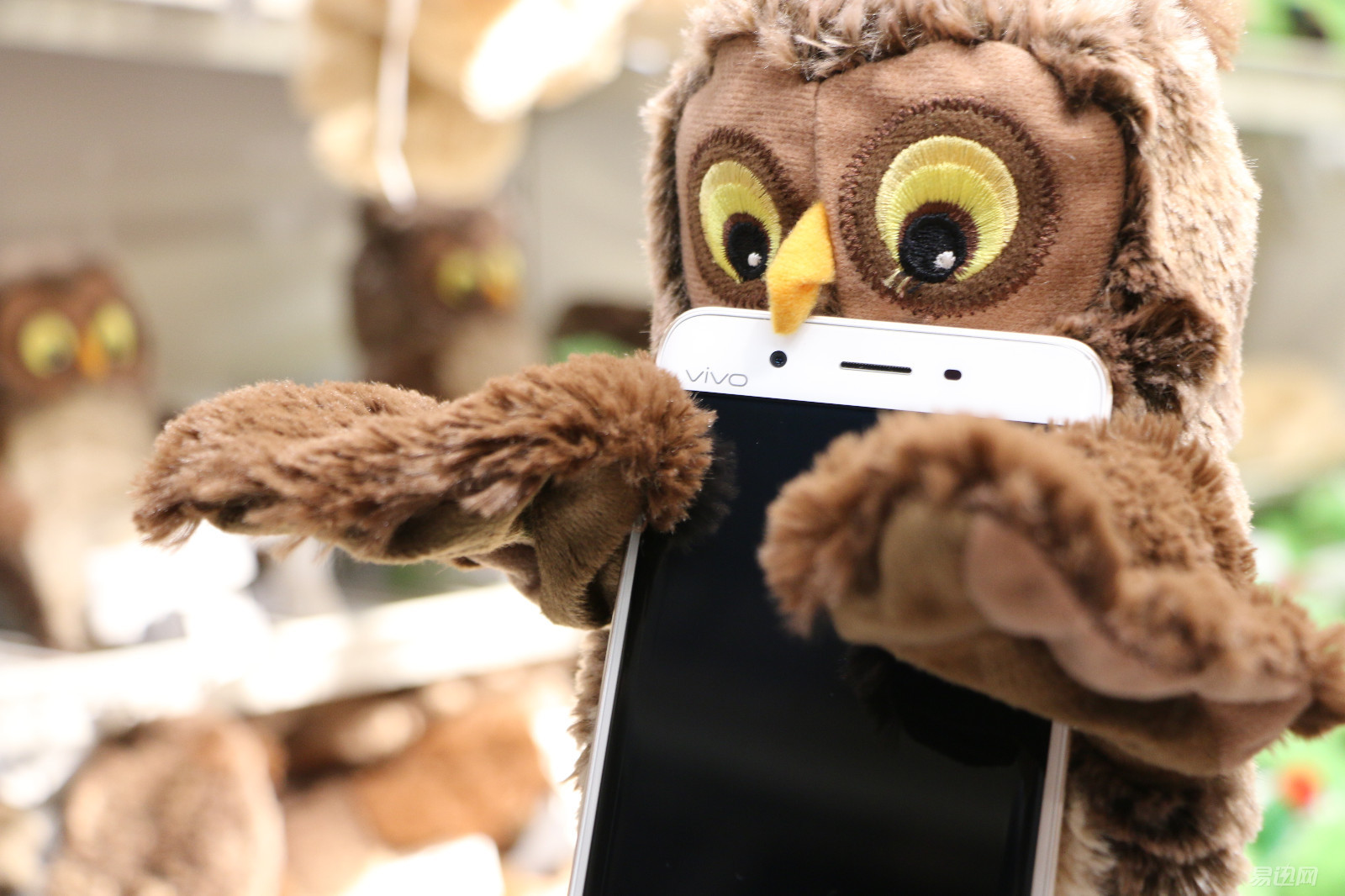 3698元买vivoxplay5值得吗,测评1699