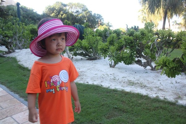 三亚海边亲子旅游攻略,亲子游三亚海边旅行攻略