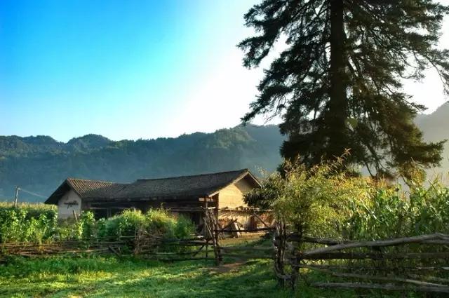 西安周末小众一日游,周末去哪玩西安市内