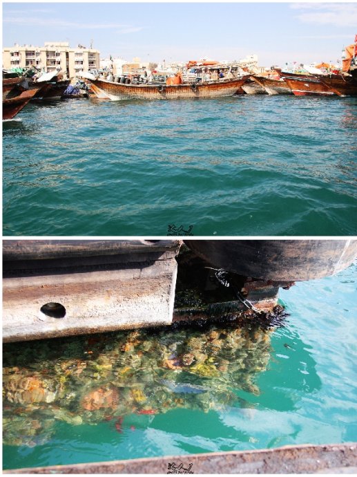 乘着地铁，乐购迪拜