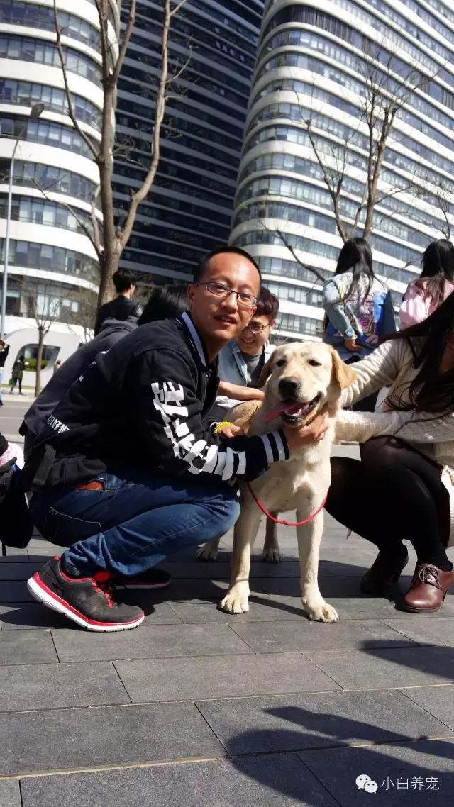 望京的春天，有狗狗相伴！