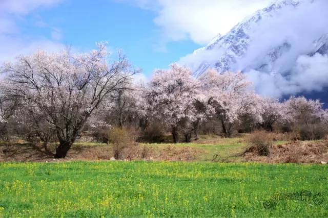 清明小长假出游提醒 (清明小长假微信消息)